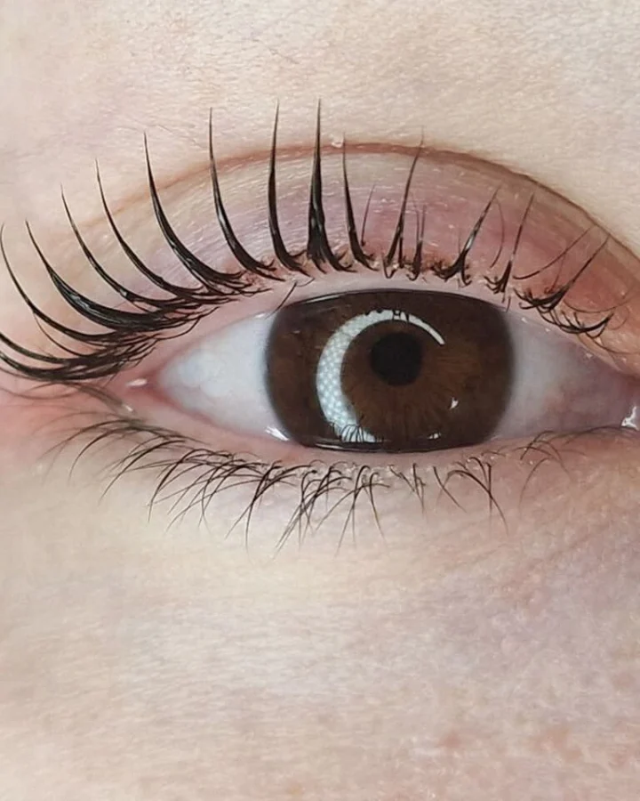 Risultato allieve corso lami lover lash no glue di Alice Cortesi trainer e coach laminazione ciglia e sopracciglia